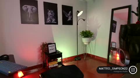 Snapshot of matteo_simpson chatting on February 2025 03:43:02 AM Matteo simpson online show from February 2025 03:43:02 AM