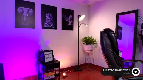 Snapshot of matteo_simpson chatting on February 2025 03:53:01 AM Matteo simpson online show from February 2025 03:53:01 AM