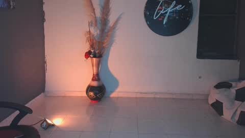 mattias     online show from January 2025 02:07:02 AM