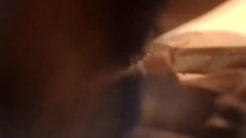 mattphewjoneqs online show from December 2024 07:00:01 AM