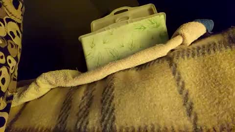 mattshadows667 online show from January 2025 02:22:01 AM