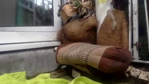 matureman1234 online show from October 2025 10:06:01 AM