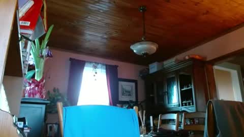 Maurice online show from January 2025 12:47:02 PM