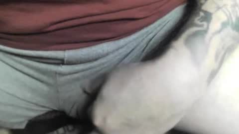 max_gv online show from October 2025 04:28:01 PM