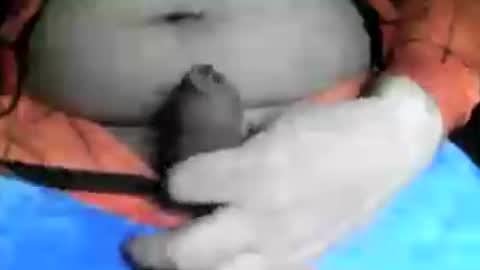 max_gv online show from June 2026 08:29:02 AM