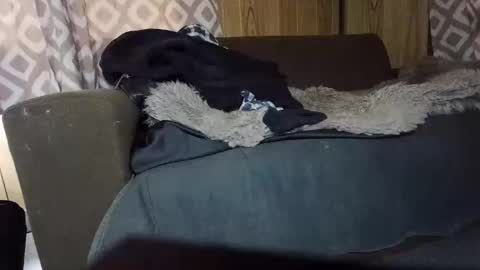 Snapshot of maximus_oreally chatting on February 2025 07:15:02 AM Max online show from February 2025 07:15:02 AM