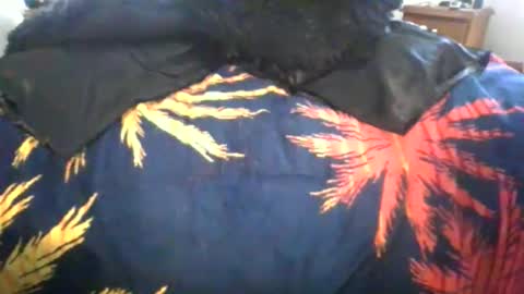 Snapshot of maximus_oreally chatting on March 2026 01:02:02 AM Max online show from March 2026 01:02:02 AM