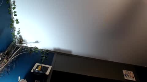 Snapshot of maxwellandpam chatting on February 2025 07:48:01 AM Max and Pam Voyeur Cam online show from February 2025 07:48:01 AM