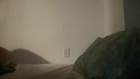 maxximus543280 online show from February 2026 12:26:02 PM