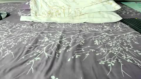 Maybelline69 online show from October 2025 09:17:02 PM