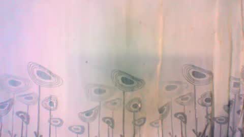 Snapshot of mayrah5 chatting on February 2025 08:11:01 AM mayrah online show from February 2025 08:11:01 AM