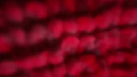 mblaqq online show from April 2026 11:07:01 PM