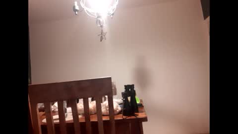 Snapshot of mccock16cm chatting on February 2025 03:47:02 AM mccock16cm online show from February 2025 03:47:02 AM