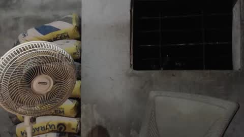 Mcgregor online show from October 2025 02:56:01 AM