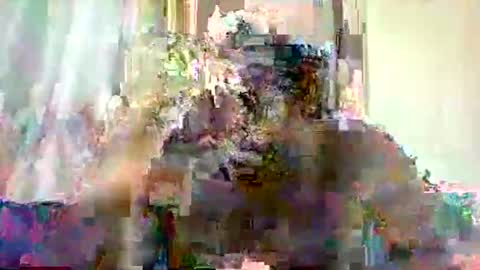mclntz_bbc online show from May 2026 12:24:01 PM
