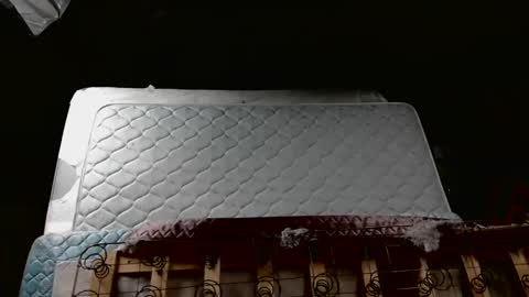 Snapshot of meateater7455 chatting on November 2025 08:31:01 AM meateater7455 online show from November 2025 08:31:01 AM