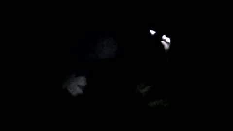 Snapshot of medjik_lool chatting on February 2025 07:07:01 PM Oltereodora-lima online show from February 2025 07:07:01 PM