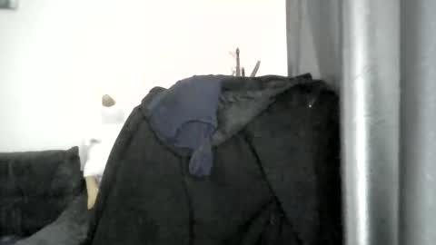 Snapshot of medjik_lool chatting on November 2025 07:41:01 AM Oltereodora-lima online show from November 2025 07:41:01 AM