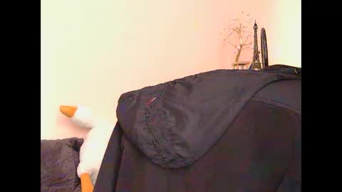 Snapshot of medjik_lool chatting on November 2025 07:29:01 AM Oltereodora-lima online show from November 2025 07:29:01 AM