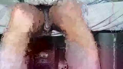 megaguebo online show from February 2026 09:42:01 PM