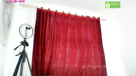 megan_cat online show from November 2025 07:13:01 PM