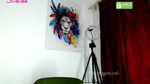 megan_cat online show from November 2025 11:21:02 AM