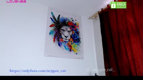 megan_cat online show from November 2025 08:46:02 PM