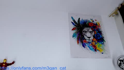 megan_cat online show from November 2025 10:59:01 AM