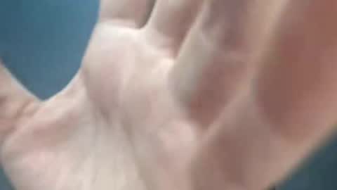 Megan and sophi online show from March 2026 02:07:02 AM