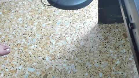 Snapshot of megan_hally chatting on February 2025 06:00:01 AM Megan online show from February 2025 06:00:01 AM