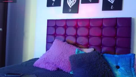 Snapshot of megan_lr chatting on December 2024 03:55:02 AM Valentina online show from December 2024 03:55:02 AM