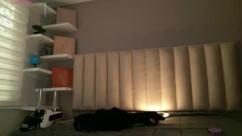     online show from February 2026 01:04:01 PM