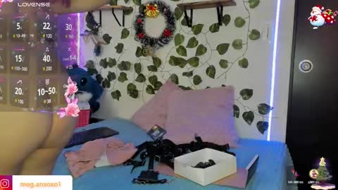 Snapshot of megan_xoxo1 chatting on December 2024 12:49:01 PM Megan online show from December 2024 12:49:01 PM