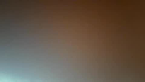 Snapshot of meitomsich chatting on September 2025 06:02:01 PM Tina online show from September 2025 06:02:01 PM