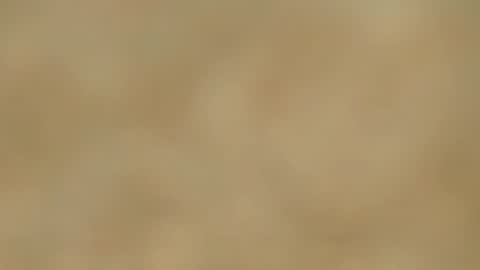 Melania online show from January 2025 02:46:01 PM