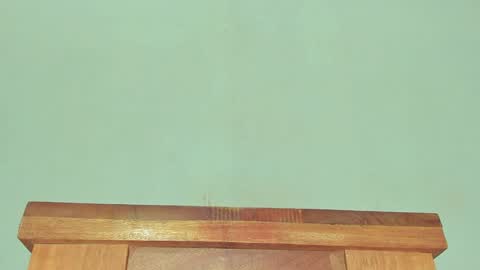 Melania online show from January 2025 03:29:02 PM