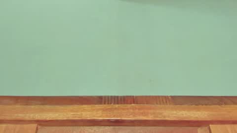 Melania online show from March 2025 12:34:01 PM