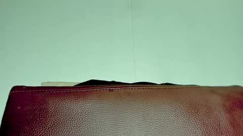 Melania online show from November 2025 03:51:01 AM