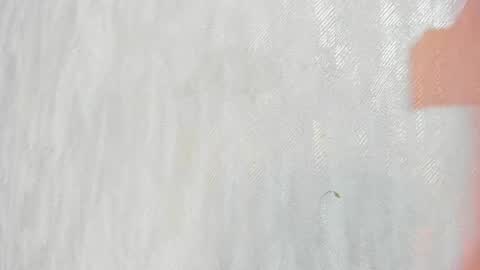        online show from June 2026 01:13:01 PM