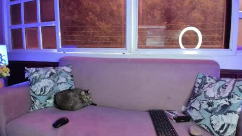 Melanie Roux online show from October 2025 07:36:02 PM