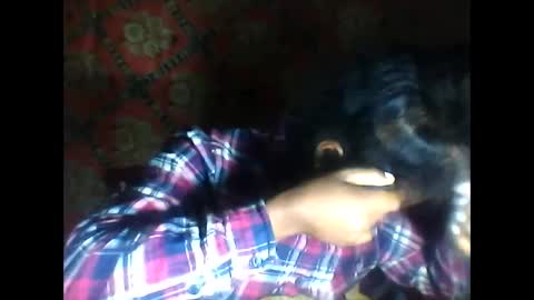 melanih online show from October 2025 01:48:02 AM