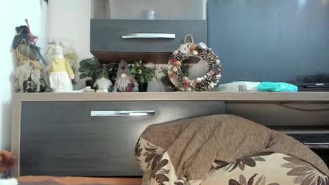 MellyMell  online show from January 2025 10:58:02 PM