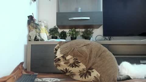 MellyMell  online show from March 2025 11:05:01 PM