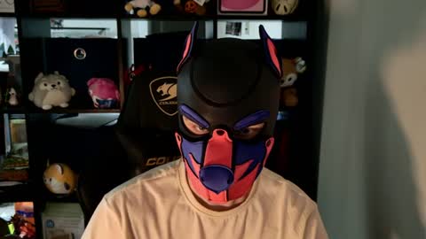 MellPUP online show from June 2026 09:48:02 PM
