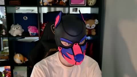 MellPUP online show from June 2026 06:28:02 PM