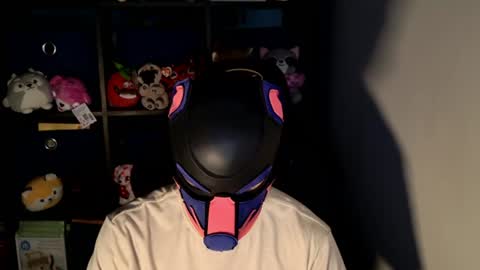 MellPUP online show from June 2026 11:25:02 AM
