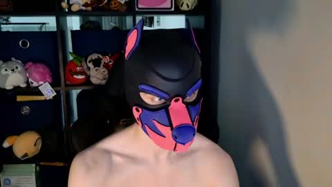 MellPUP online show from June 2026 03:15:02 PM