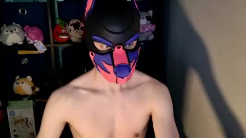 MellPUP online show from June 2026 12:15:01 PM