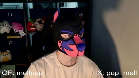 MellPUP online show from June 2026 01:04:01 PM