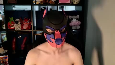 MellPUP online show from July 2026 06:13:02 PM